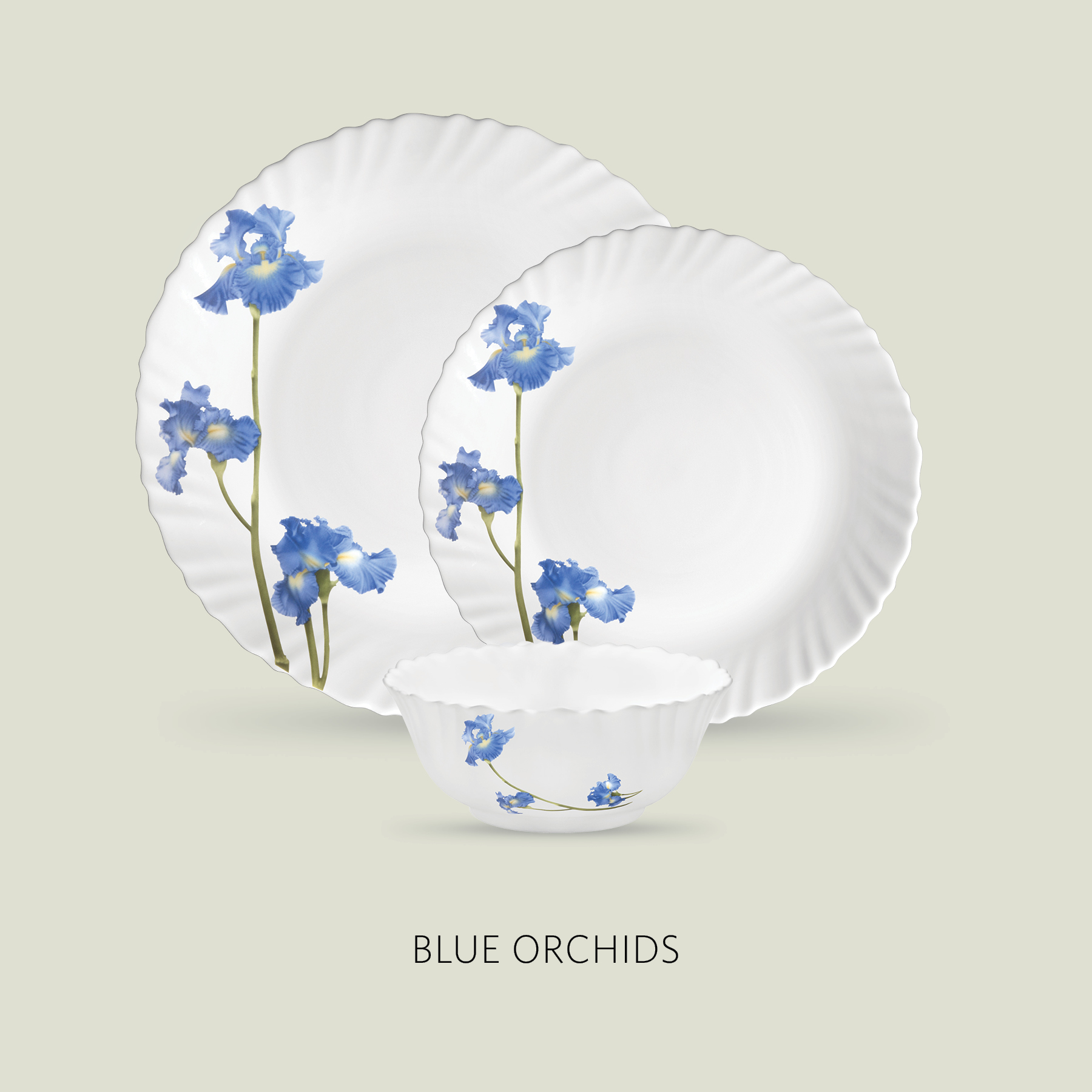 BLUE ORCHIDS