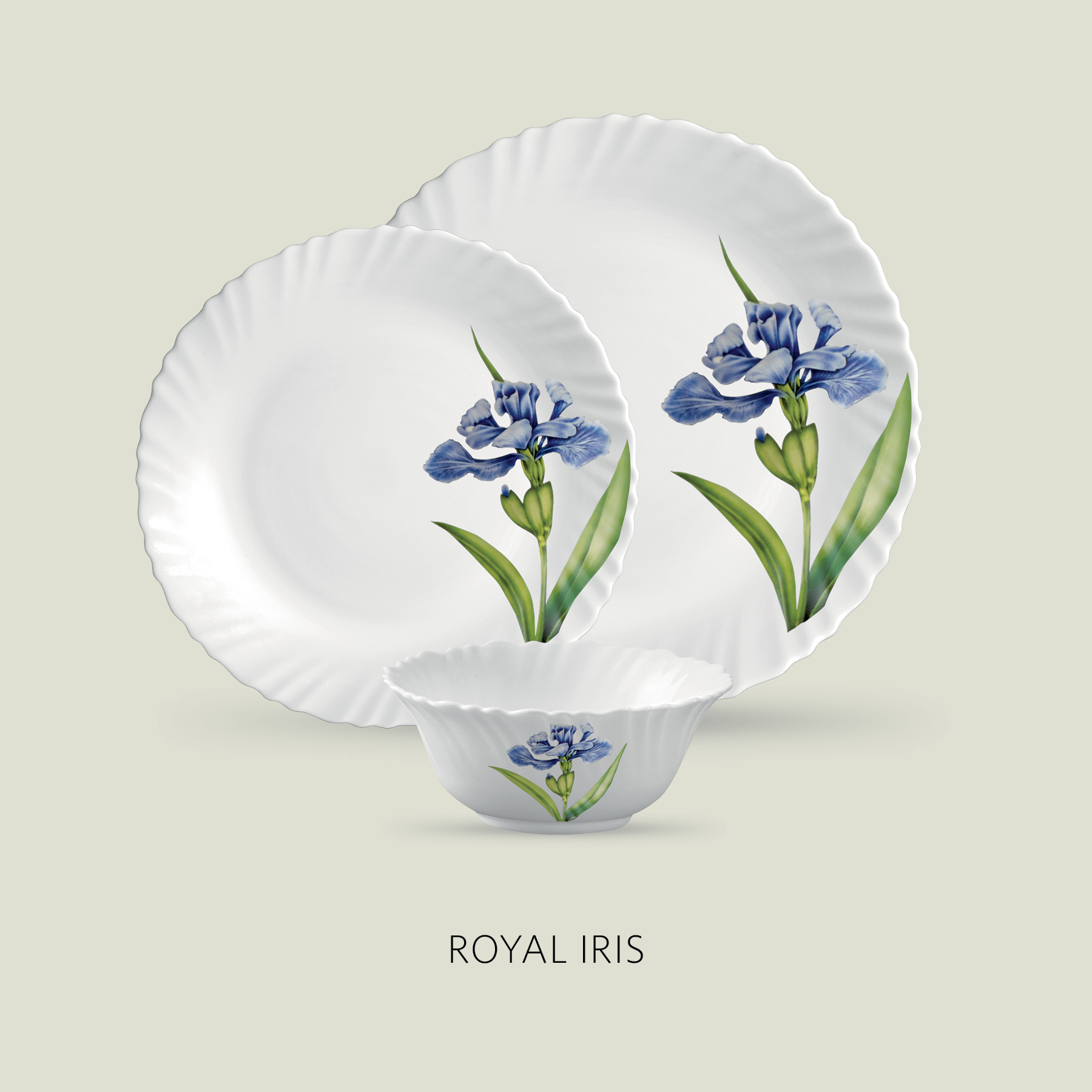 ROYAL IRIS