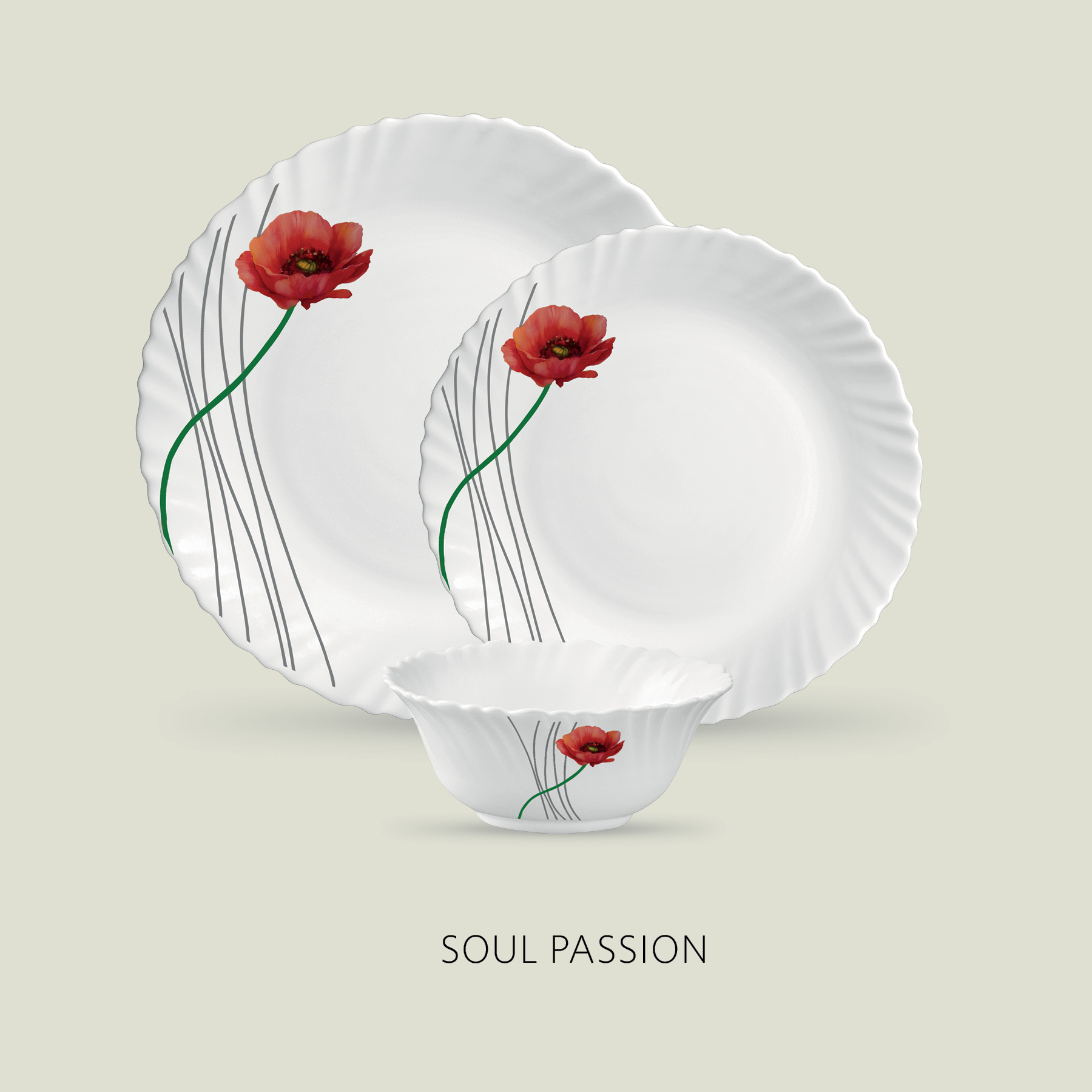 SOUL PASSION